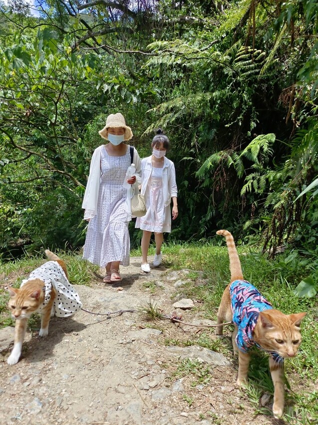 【花蓮.市區】撒固兒步道散散步。簡易好走有瀑布。穿裙子都能輕鬆駕馭。來回約一小時