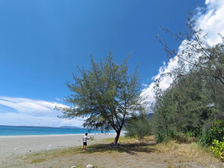 【花蓮.新城】免費寵物景點。曼波海灘散散步。賞超美麗海灣