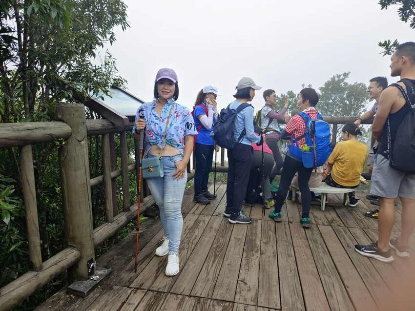 【桃園.復興】小百岳no.22東眼山國家公園海拔1212。O型一圈3.5k簡易好走。超美柳杉樹步道