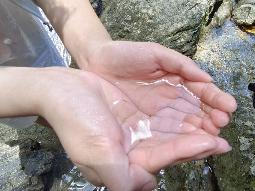 【花蓮.市區】撒固兒步道散散步。簡易好走有瀑布。穿裙子都能輕鬆駕馭。來回約一小時