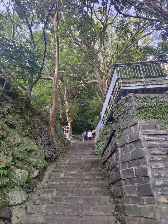 【台北.五股】帶著貓咪爬山去。觀音山硬漢嶺賞夕陽+夜景。大台北盆地美景盡收眼底