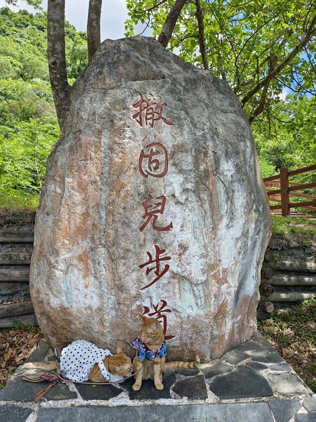 【花蓮.市區】撒固兒步道散散步。簡易好走有瀑布。穿裙子都能輕鬆駕馭。來回約一小時