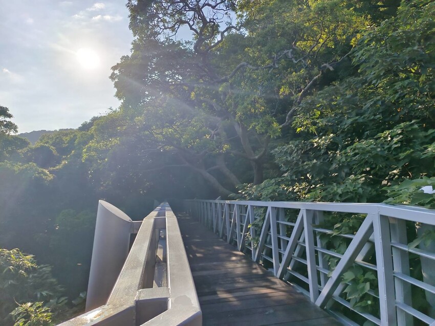 【台北.五股】帶著貓咪爬山去。觀音山硬漢嶺賞夕陽+夜景。大台北盆地美景盡收眼底