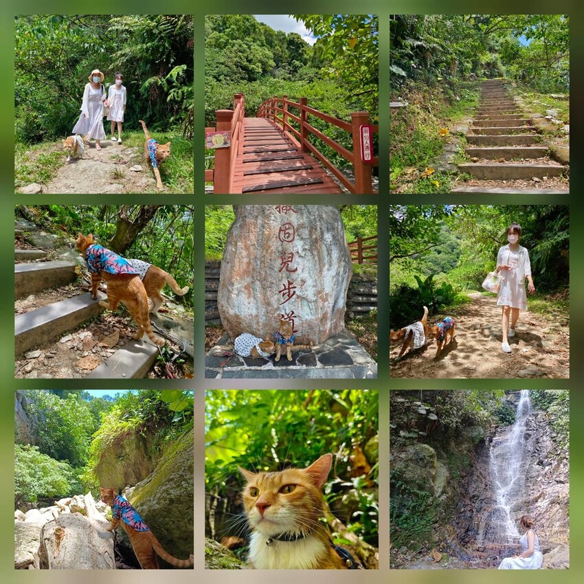 【花蓮.市區】撒固兒步道散散步。簡易好走有瀑布。穿裙子都能輕鬆駕馭。來回約一小時