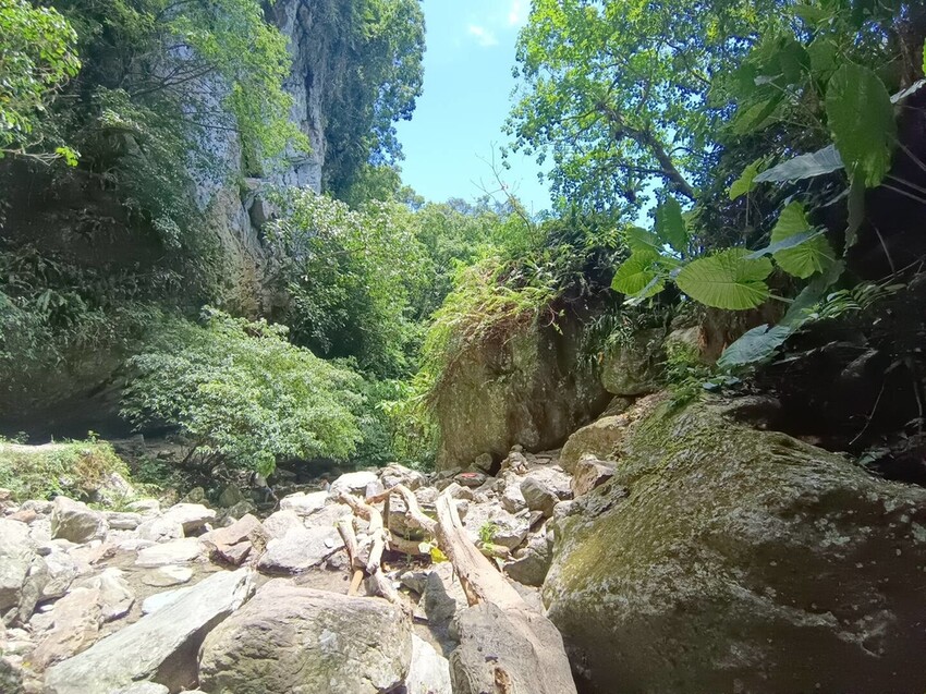 【花蓮.市區】撒固兒步道散散步。簡易好走有瀑布。穿裙子都能輕鬆駕馭。來回約一小時