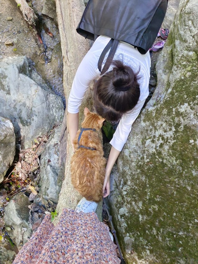 【花蓮.市區】撒固兒步道散散步。簡易好走有瀑布。穿裙子都能輕鬆駕馭。來回約一小時