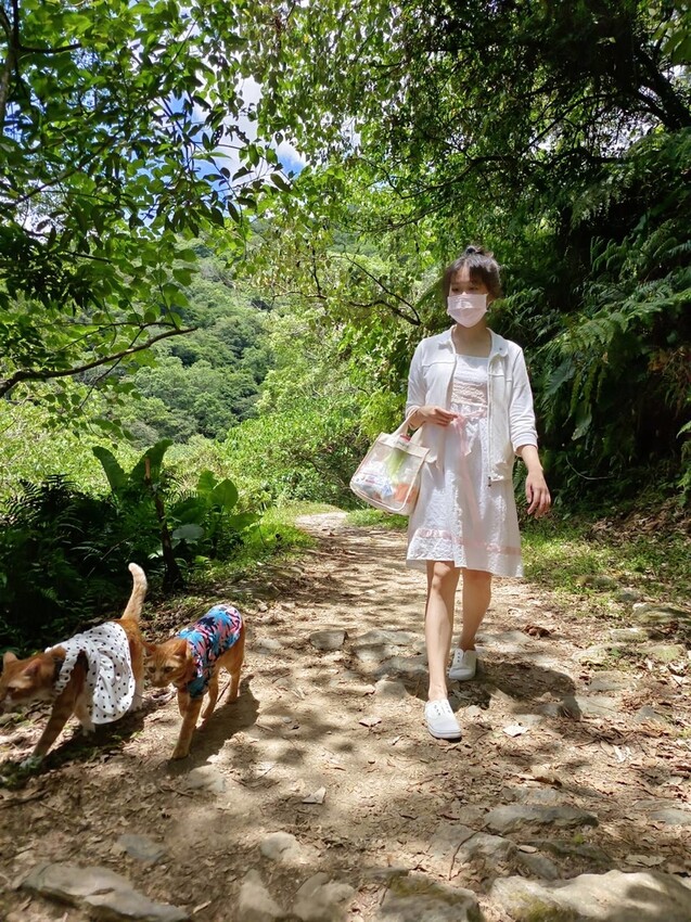 【花蓮.市區】撒固兒步道散散步。簡易好走有瀑布。穿裙子都能輕鬆駕馭。來回約一小時