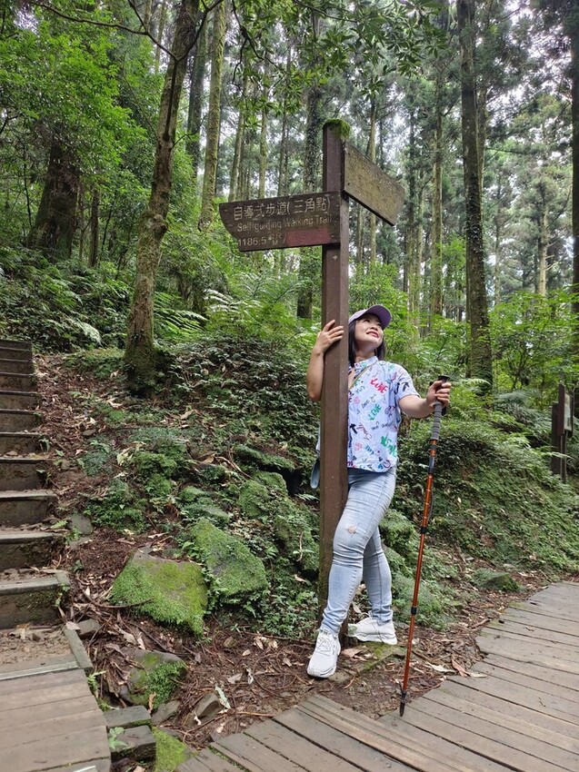 【桃園.復興】小百岳no.22東眼山國家公園海拔1212。O型一圈3.5k簡易好走。超美柳杉樹步道