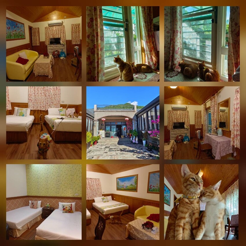【花蓮.吉安】山緹庭院民宿。寵物友善住宿+寵物清潔費$300近市區用餐方便