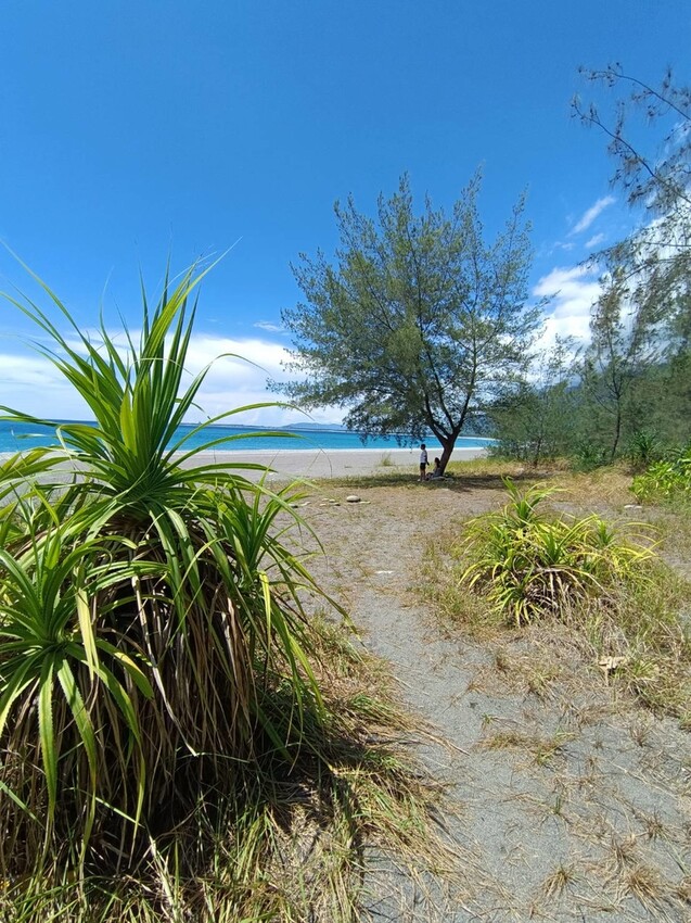 【花蓮.新城】免費寵物景點。曼波海灘散散步。賞超美麗海灣