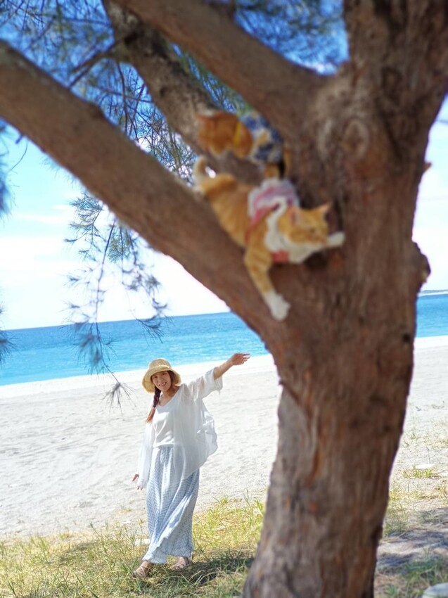 【花蓮.新城】免費寵物景點。曼波海灘散散步。賞超美麗海灣