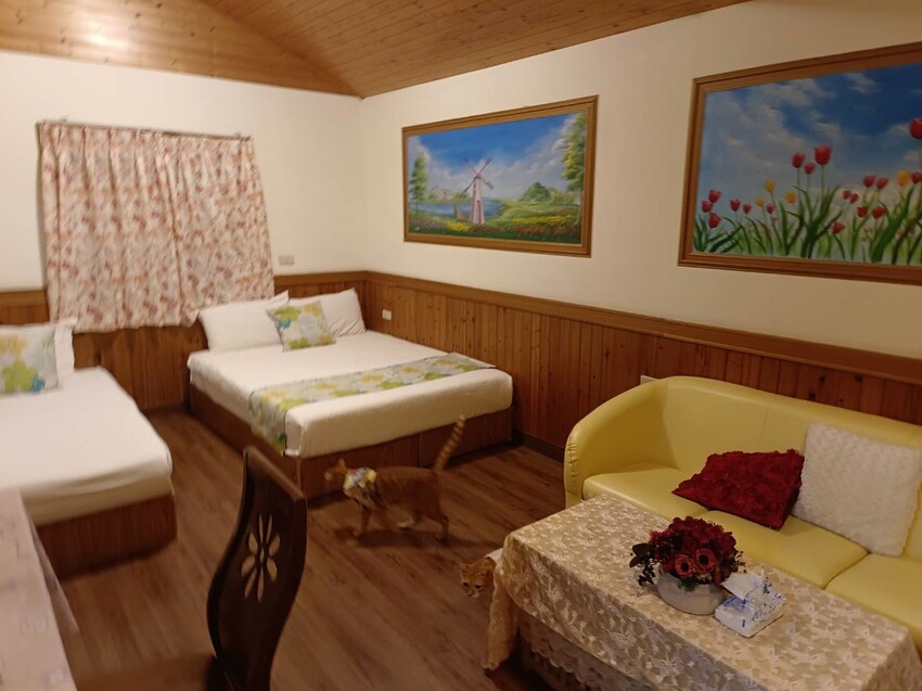 【花蓮.吉安】山緹庭院民宿。寵物友善住宿+寵物清潔費$300近市區用餐方便