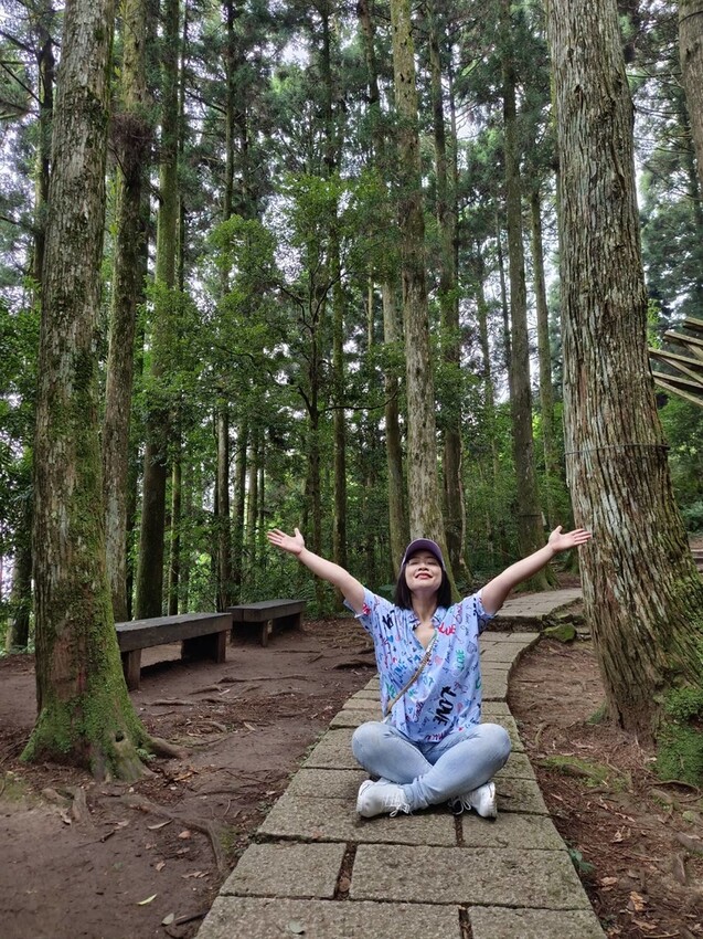 【桃園.復興】小百岳no.22東眼山國家公園海拔1212。O型一圈3.5k簡易好走。超美柳杉樹步道