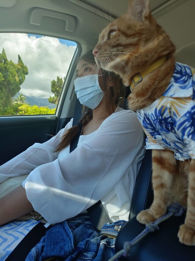 【花蓮.新城】免費寵物景點。曼波海灘散散步。賞超美麗海灣