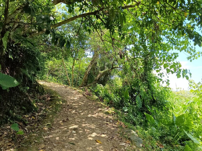 【花蓮.市區】撒固兒步道散散步。簡易好走有瀑布。穿裙子都能輕鬆駕馭。來回約一小時