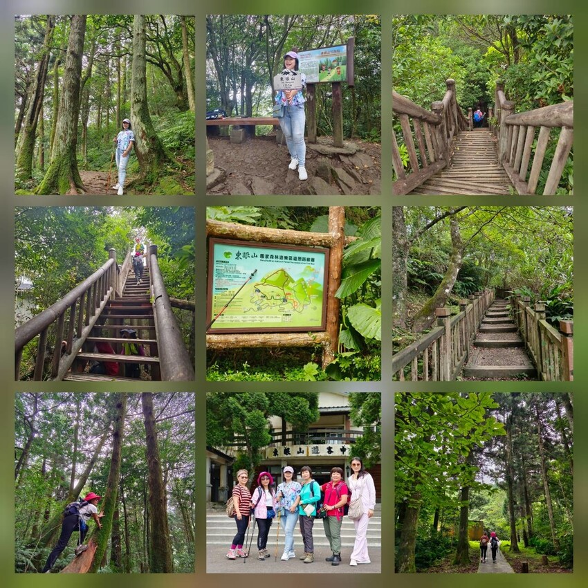【桃園.復興】小百岳no.22東眼山國家公園海拔1212。O型一圈3.5k簡易好走。超美柳杉樹步道