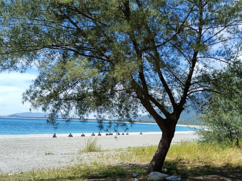 【花蓮.新城】免費寵物景點。曼波海灘散散步。賞超美麗海灣