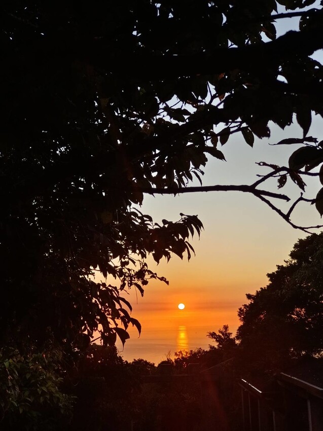 【台北.五股】帶著貓咪爬山去。觀音山硬漢嶺賞夕陽+夜景。大台北盆地美景盡收眼底