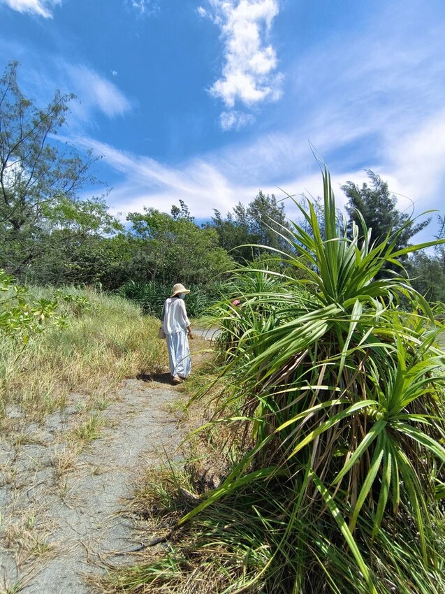【花蓮.新城】免費寵物景點。曼波海灘散散步。賞超美麗海灣