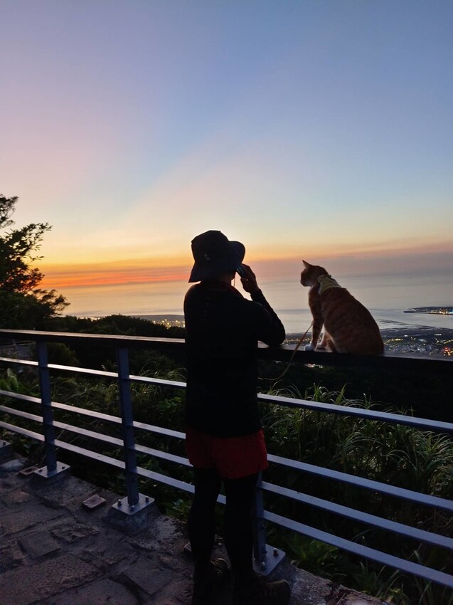 【台北.五股】帶著貓咪爬山去。觀音山硬漢嶺賞夕陽+夜景。大台北盆地美景盡收眼底
