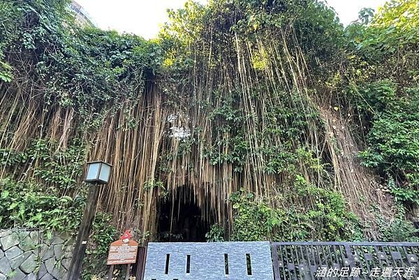 IMG_7686.jpg IMG_7686.jpg