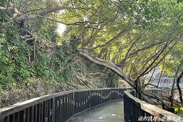 IMG_7723.jpg IMG_7723.jpg