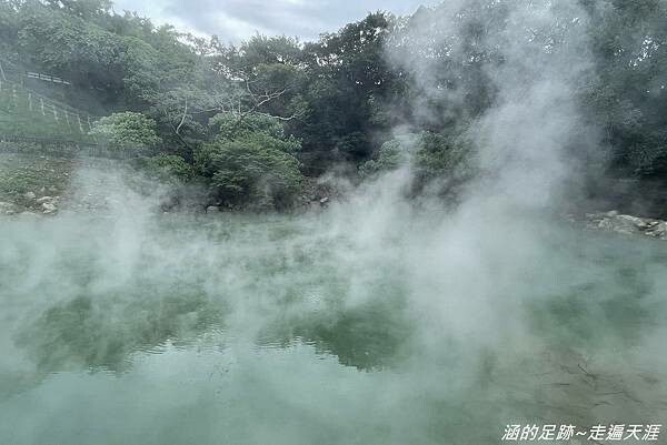 IMG_4205.jpg IMG_4205.jpg