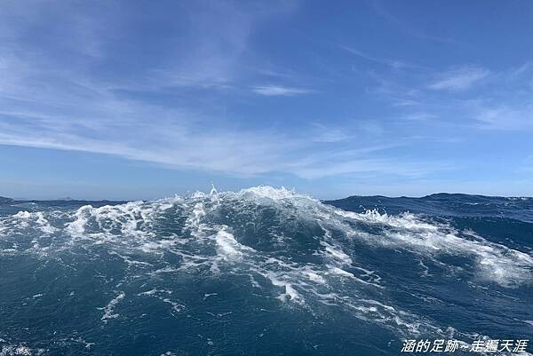 IMG_4355.jpg IMG_4355.jpg