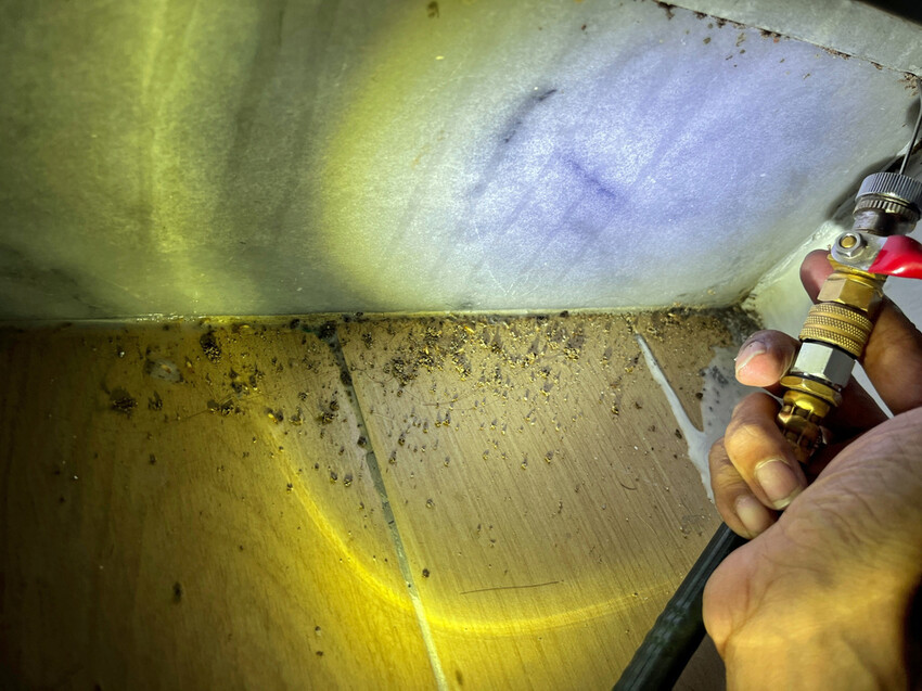 台南除白蟻,瑞容除蟲6.jpg 台南除白蟻,瑞容除蟲6.jpg