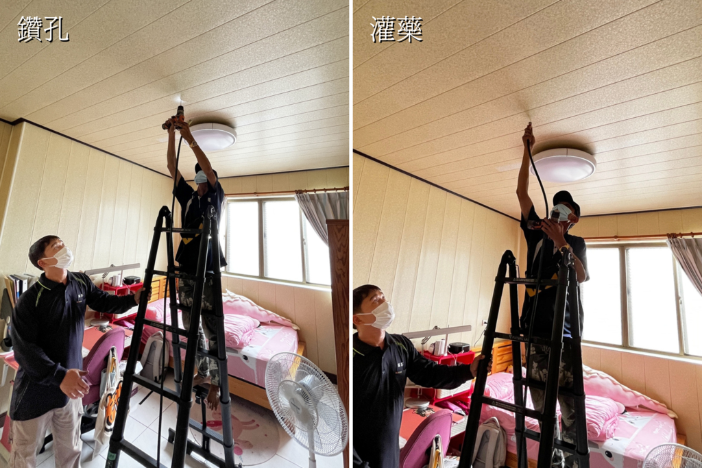 台南除白蟻,瑞容除蟲20.png 台南除白蟻,瑞容除蟲20.png