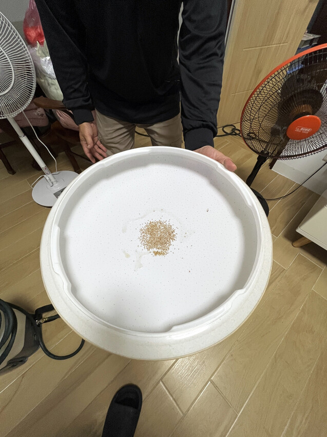 台南除白蟻,瑞容除蟲4.jpg 台南除白蟻,瑞容除蟲4.jpg