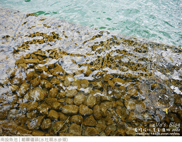 日月潭-30.jpg 日月潭-30.jpg