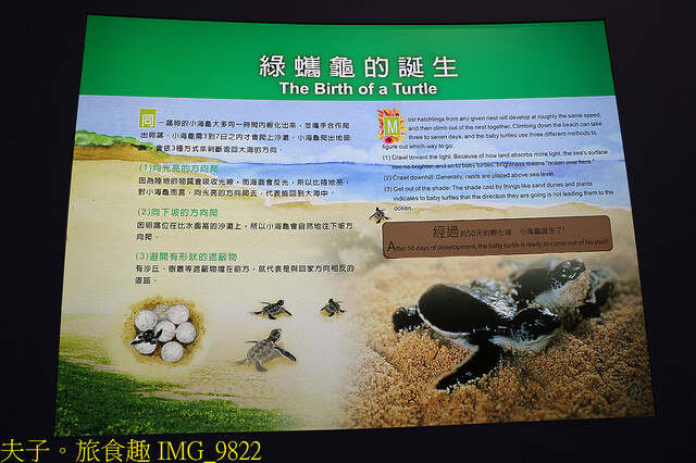 IMG_9822.jpg - 澎湖望安綠蠵龜觀光保育中心 20220727 