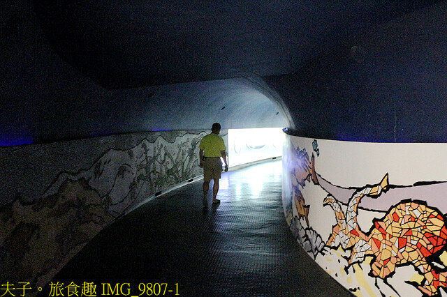 IMG_9807-1.jpg - 澎湖望安綠蠵龜觀光保育中心 20220727 