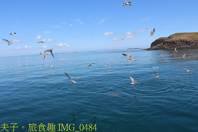 IMG_0484.jpg - 澎湖白灣坑休閒魚場 20220727