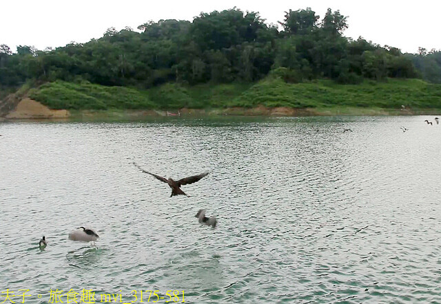 mvi_3175-581.jpg - 曾文水庫 20220816