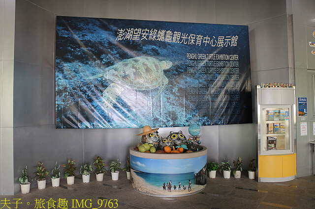 IMG_9763.jpg - 澎湖望安綠蠵龜觀光保育中心 20220727 