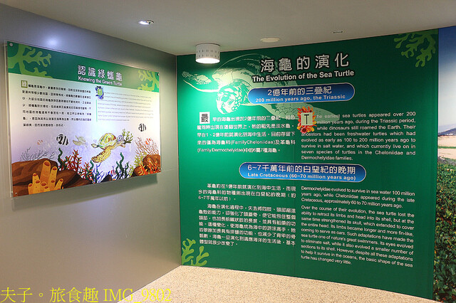 IMG_9802.jpg - 澎湖望安綠蠵龜觀光保育中心 20220727 
