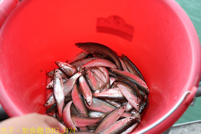 IMG_3174.jpg - 曾文水庫 20220816