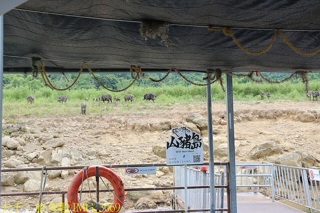 IMG_3069.jpg - 曾文水庫 20220816