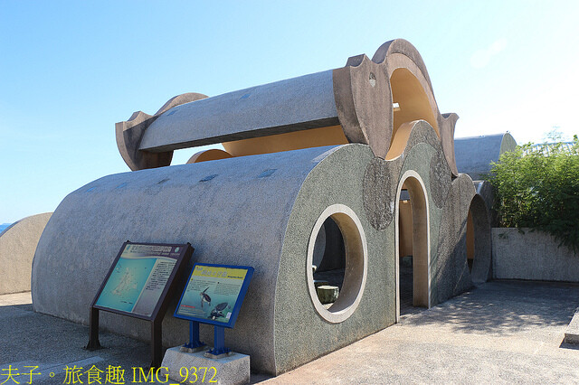 IMG_9372.jpg - 澎湖望安綠蠵龜觀光保育中心 20220727 