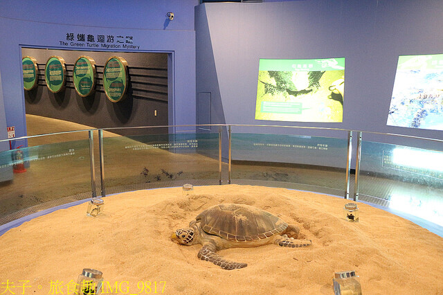 IMG_9817.jpg - 澎湖望安綠蠵龜觀光保育中心 20220727 