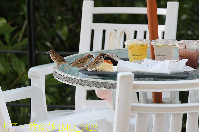 IMG_1428.jpg - 澎湖林投公園  20220729