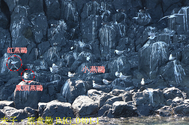 IMG_0401-1.jpg - 澎湖白灣坑休閒魚場 20220727