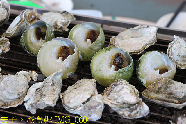 澎湖湖西一日遊 燕鷗 X 綠蠵龜 X 沙灘 X 美食