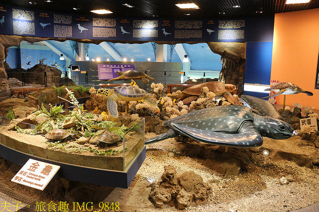 IMG_9848.jpg - 澎湖望安綠蠵龜觀光保育中心 20220727 