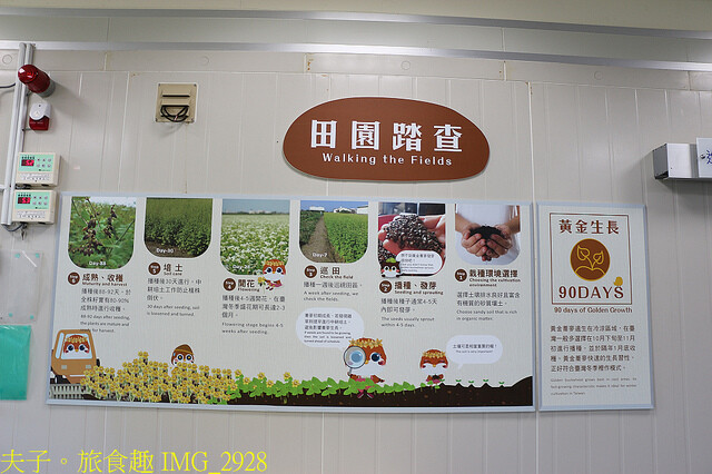 IMG_2928.jpg - 黃金蕎麥探索館 20220816