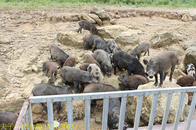 IMG_3083.jpg - 曾文水庫 20220816