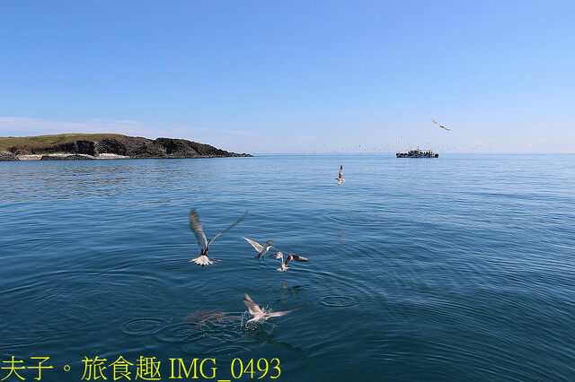 IMG_0493.jpg - 澎湖白灣坑休閒魚場 20220727