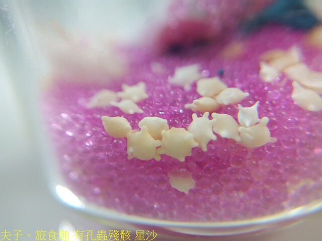 有孔蟲殘骸 星沙.jpg - 澎湖望安綠蠵龜觀光保育中心 20220727 